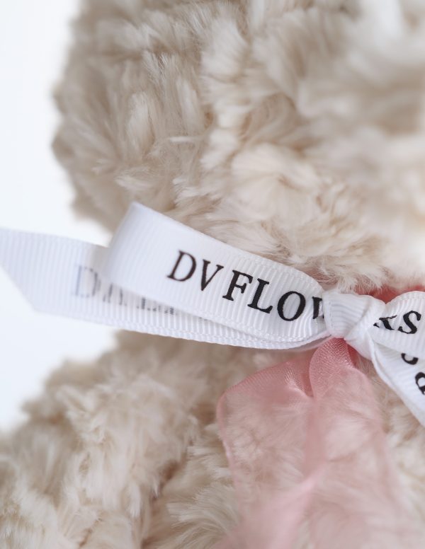 Teddy bear with DV Flowers ribbon