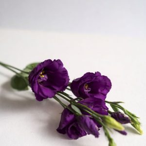 The Lisianthus Bouquet - Image 3